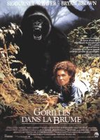 Affiche du film Gorilles dans la brume