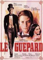 Affiche du film Le guépard