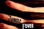 Affiche du film Jungle Fever