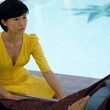linh dan pham