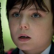 thomas byrne dans la forêt