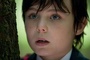thomas byrne dans la forêt