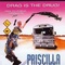 Affiche du film Priscilla, folle du désert - Priscilla, folle du désert 
