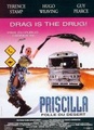 Priscilla, folle du désert