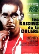 Affiche du film Les raisins de la colère