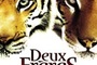 Affiche du film Deux frères