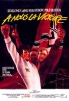 Affiche miniature du film A nous la victoire