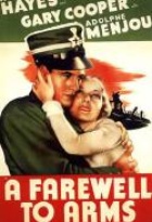 Affiche miniature du film L'adieu au drapeau