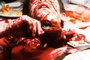 john-hurt-et-un-alien-jpg