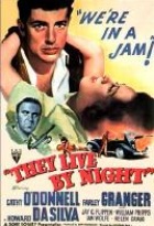 Affiche miniature du film Les Amants de la nuit