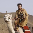 guillaume canet sur un dromadaire