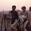 guilluame canet marion cotillard a dos de dromadaire