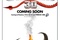 Affiche du film Dragons
