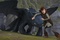 dragon noir et gar  on
