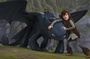 dragon noir et gar  on