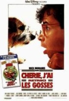 Affiche miniature du film Chérie, j'ai rétréci les gosses