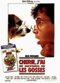 Chérie, j'ai rétréci les gosses