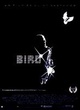 Affiche du film Bird