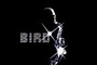 Affiche du film Bird
