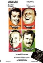 Affiche miniature du film Le Cerveau