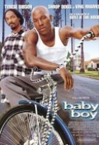 Affiche miniature du film Baby Boy