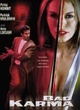 Affiche du film Bad Karma