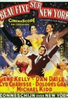 Affiche miniature du film Beau fixe sur New York