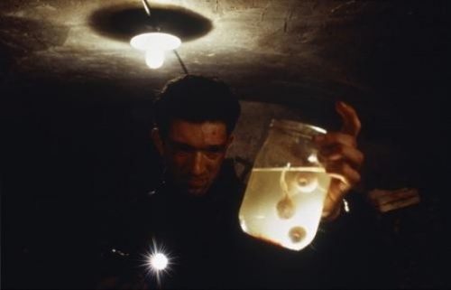 vincent cassel et des globes occulaires