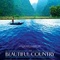 Affiche du film Beautiful country - Beautiful country 