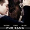Affiche du film Pur sang, la légende de Seabiscuit - Pur sang, la légende de Seabiscuit 