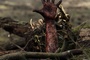 photo 2 du film the descent part 2