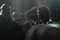 photo 3 du film the descent part 2