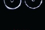 affiche-teaser-2-jpg