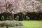 photo-du-film-jane-eyre-jpg