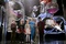 annasophia robb manquant a l appel