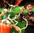 freddie highmore