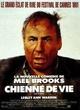 Affiche du film Chienne de vie