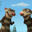 crash et eddie