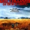 Affiche du film Cry Freedom - Cry Freedom 