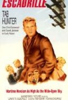 Affiche miniature du film C'est la guerre