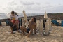 russell brand 4 - Sans Sarah, rien ne va