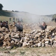 olivier gourmet clovis cornillac edouard baer