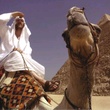 morgan spurlock - Where in the World Is Osama Bin Laden ?