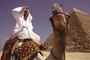 morgan spurlock - Where in the World Is Osama Bin Laden ?
