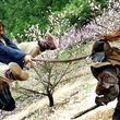 jackie chan se battant
