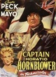 Affiche du film Capitaine sans peur