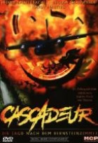 Affiche miniature du film Cascadeur