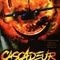 Affiche du film Cascadeur - Cascadeur 