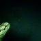 crocodile 4 - Solitaire - Solitaire 