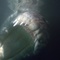 crocodile 5 - Solitaire - Solitaire 
